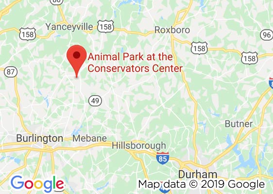Animal Park location on Google Maps