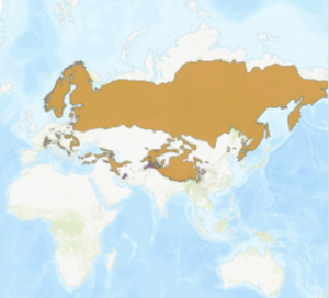 Range Map: Eurasian Lynx
