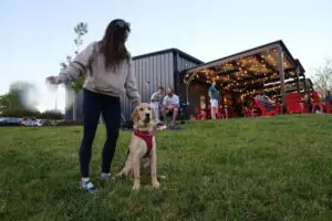 Eno River Brewing, humans and dogs on lawn